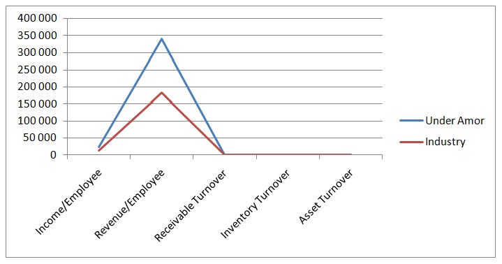 Efficiency Ratios