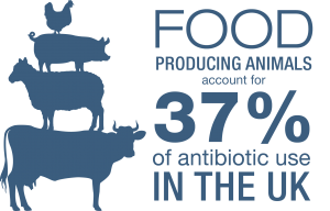 Antibiotic use