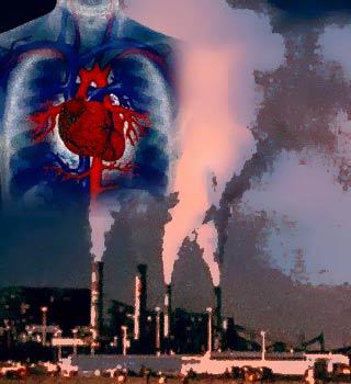 The effect of environmental pollutants on the heart
