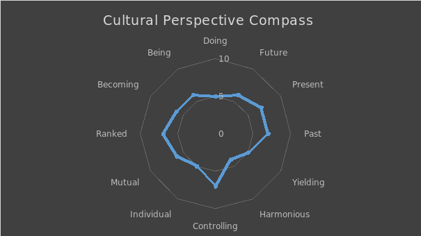 Cultural Perspective Compass.