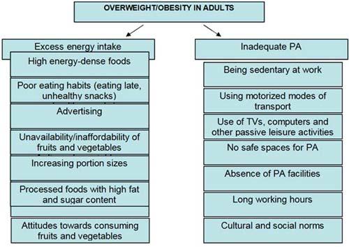 Causes of obesity.