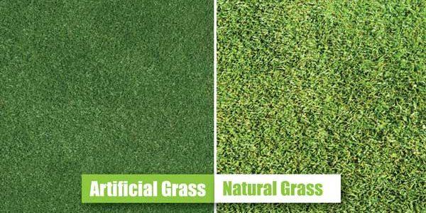  Artificial and natural grass