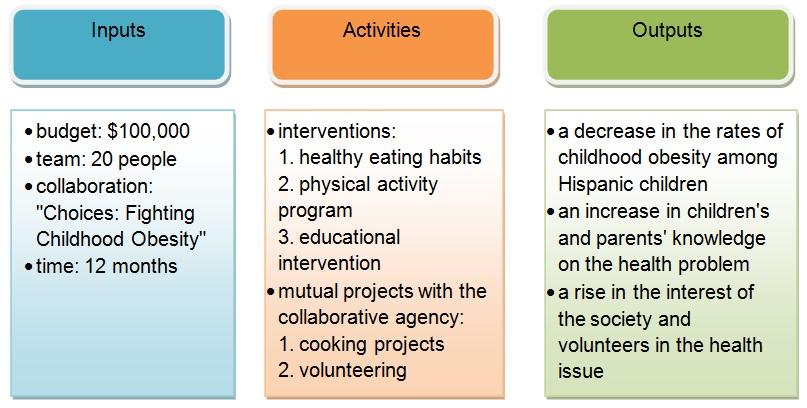 The logic model for the program includes inputs, activities, and outputs.