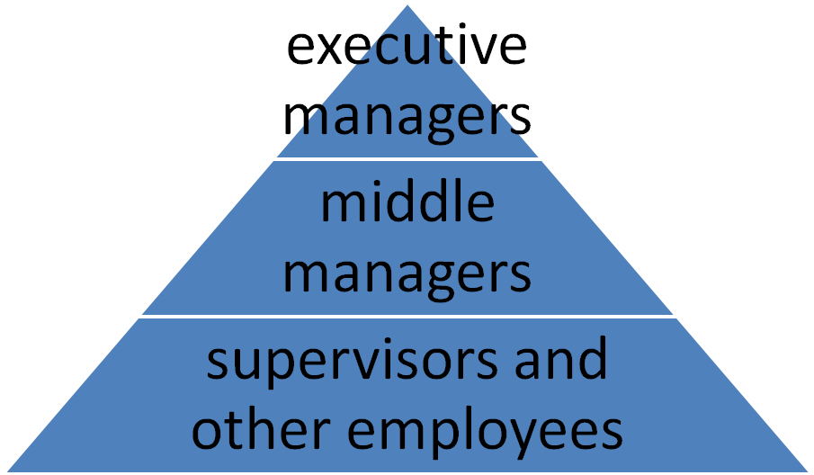 Organizational chart for a simple small business structure.
