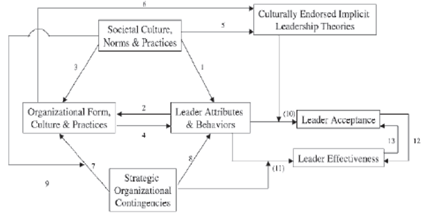 Influence of social cultures on organizations.