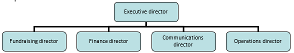 The organizational structure
