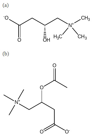 The structures of (a) L- carnitine (C7H15NO3) and its derivative L-acetyl carnitine.