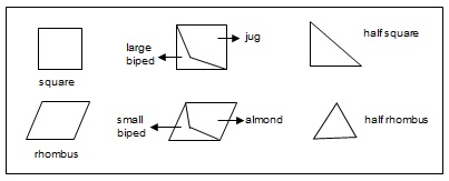 Geometric Forms Used in Muqarnas.