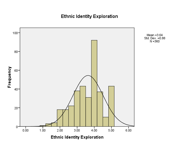 Ethnic Adentty Exploration