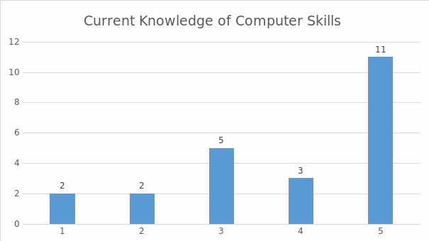 Current knowledge: computer skills.