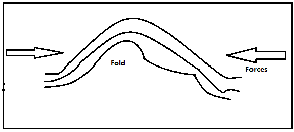 The fold