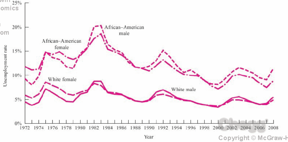 Unemployment rates by Race and Gender in the US.