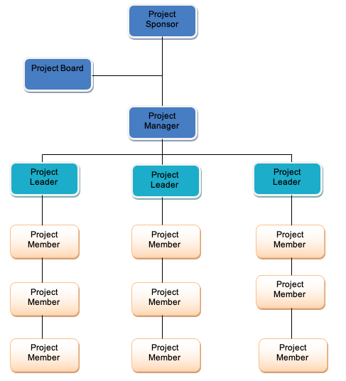 Project Team Organisation Chart