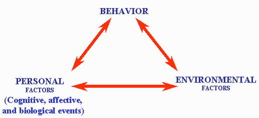 Factors causing social behaviors.