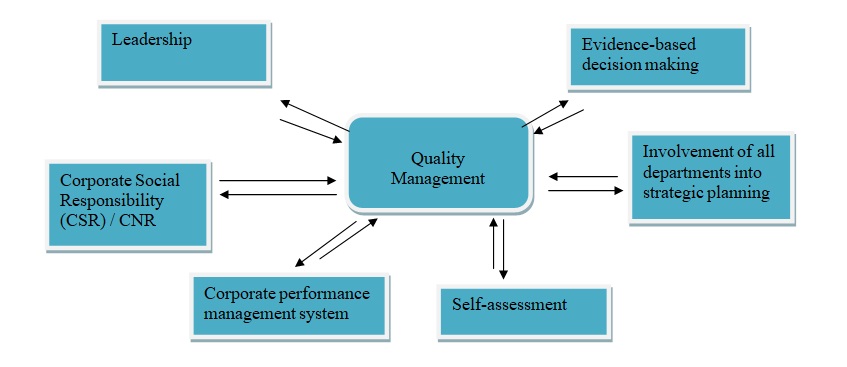 Quality management structure at DAFZA.