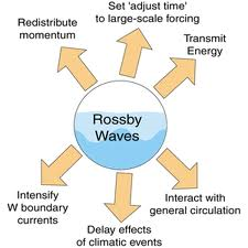 Rossby waves