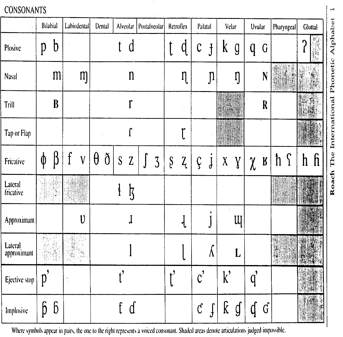 International Consonant System