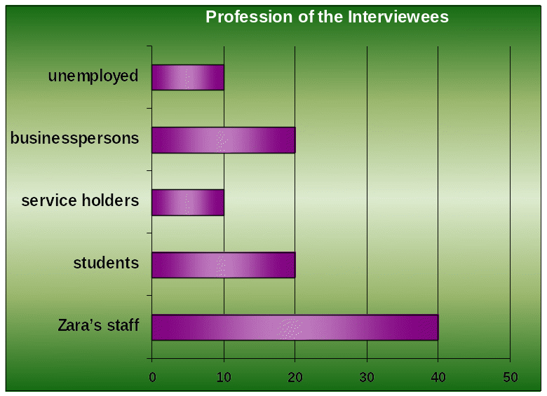 Profession of the Interviewees. 