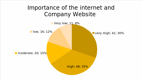 Importance of the internet and company website