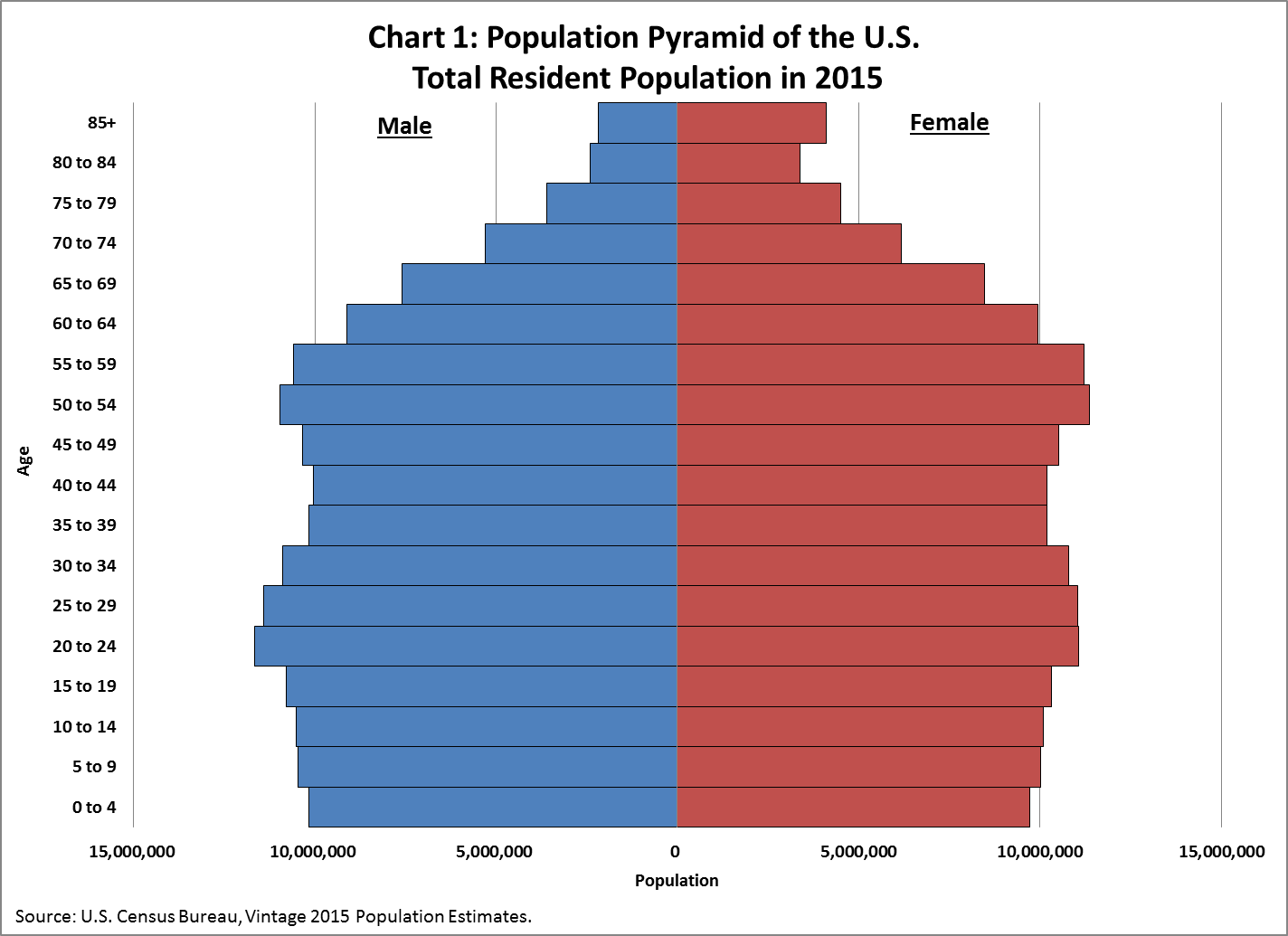 Population Pyramid of the United States of America.