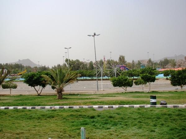 The Trees in the Garden of King Fahd.