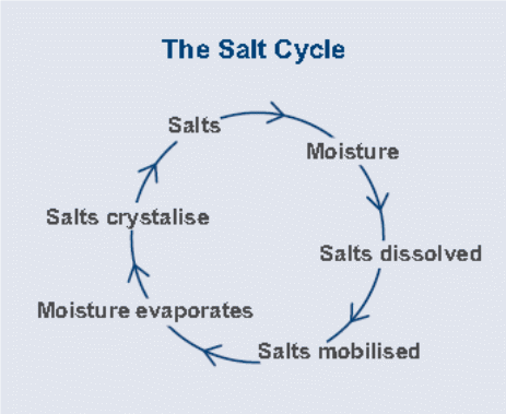  showing the Salt Cycle.