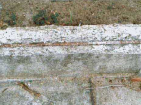 showing effects on the concrete structure.