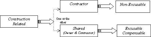 type of contracts. 