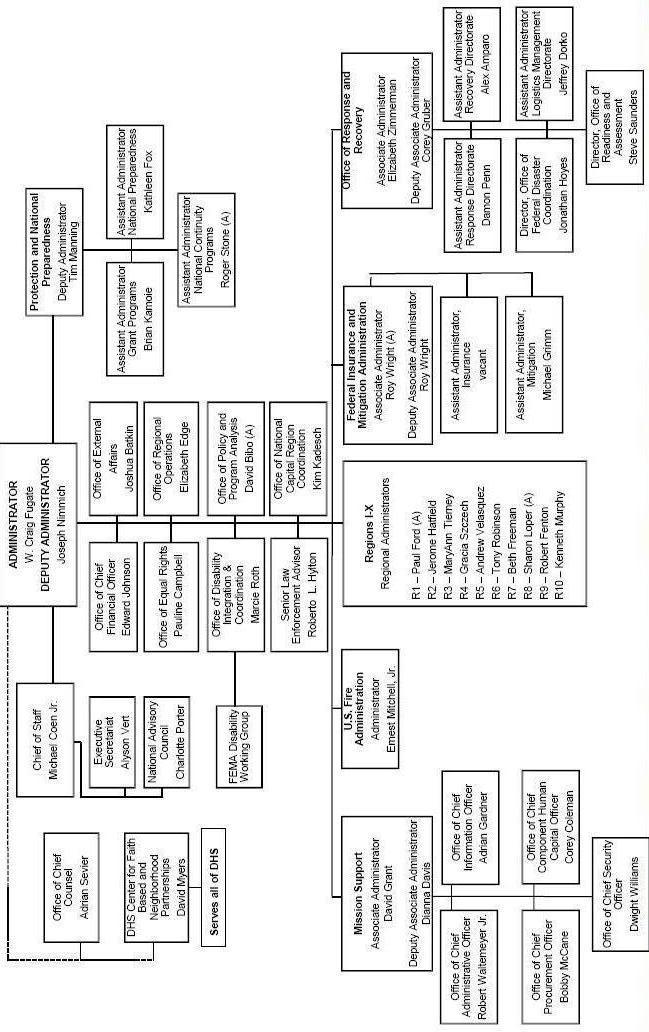 Organizational table of FEMA.