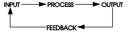 Input-Process-Output Model.