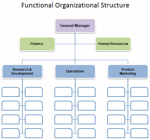 Functional organizational structure