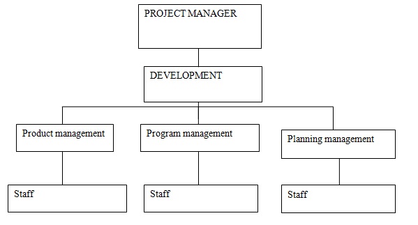 Project Team Structure