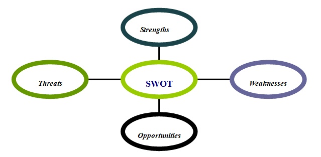 SWOT analysis of Pitch Campaign. 