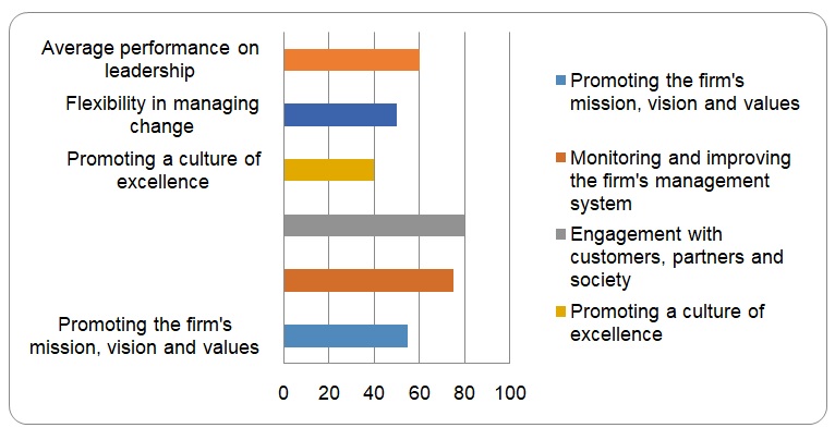 the Danube Group’s performance with regard to leadership criteria.
