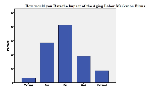 How would you Rate the Impact of the Aging Labor Market on Firms