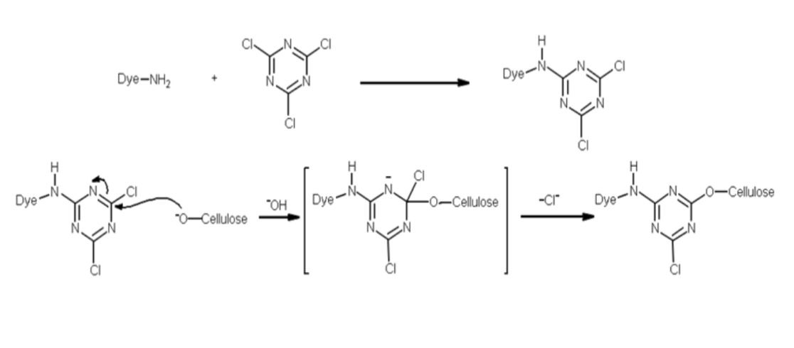 Mechanism of Reactive Dye Fixation