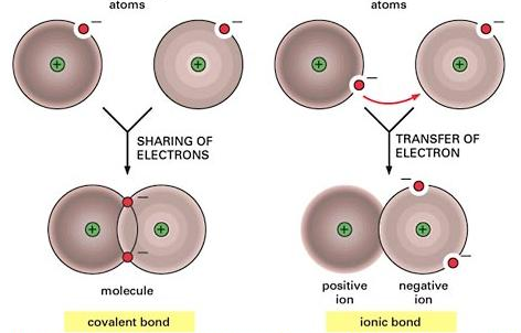 The covalent bond in a water molecule decentralizes the electron of the hydrogen atom causing it to have a slightly positive charge.