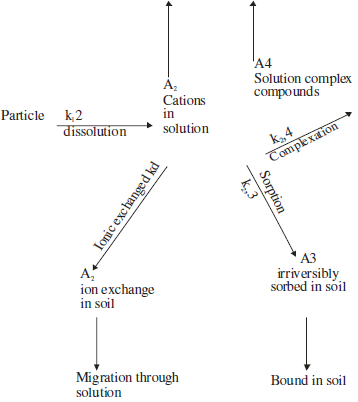 Models and Paths for Radionuclide Transformation in Soils.