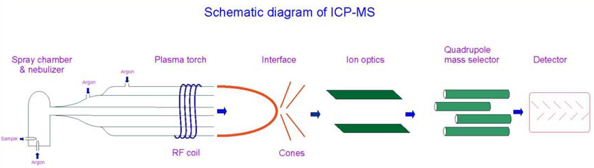 Schematic Diagram of ICP-MS Illustrating the Leaching Process.