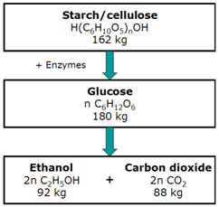Production of bioethanol from carbohydrates