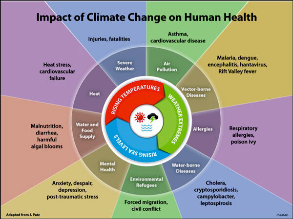Impact of climate change on human health.