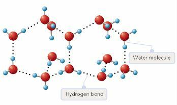 Hydrogen-bonding pattern of ice