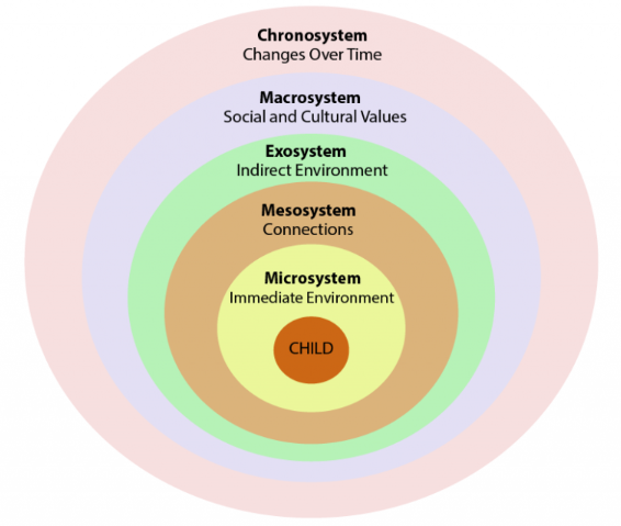 The schematic presentation of the systems / ecological theory.