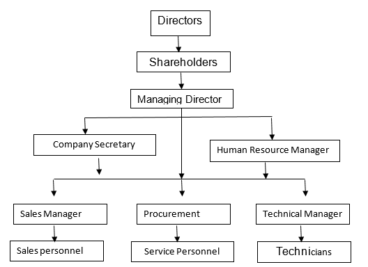The Structure of the Company.