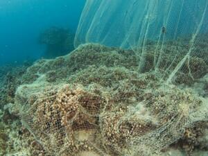 A net damages the reefs
