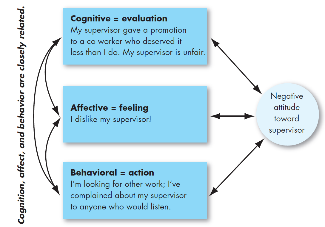 Cognition, affect, and behavior in work-related attitude