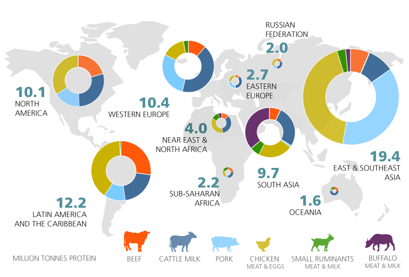 Livestock production by region.