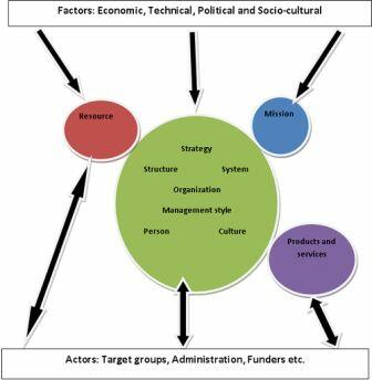 Integrated Organizational Model.