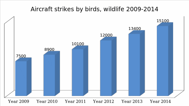 Aircraft strikes by bird 2009-2014.
