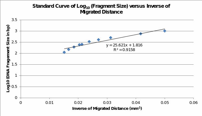 Standard Curve of DNA Fragment Sizes and Migration Distance.
